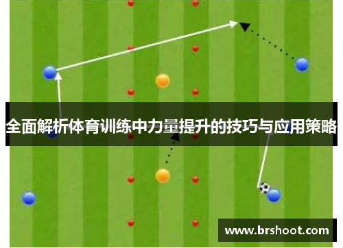 全面解析体育训练中力量提升的技巧与应用策略