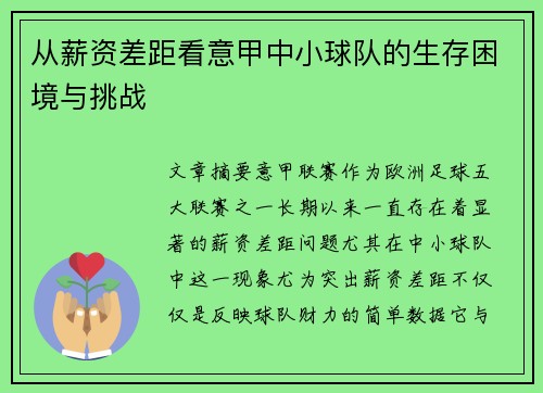 从薪资差距看意甲中小球队的生存困境与挑战