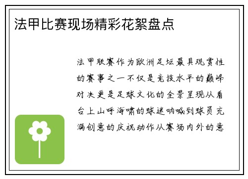 法甲比赛现场精彩花絮盘点